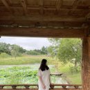 고창민박 톡톡 | 고창 여행(220618-19)