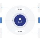 셀모터스