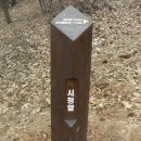 늠내길 1코스 숲길 이미지