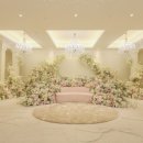 그레이스L 이미지