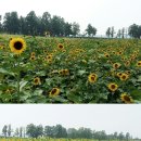 옥돌농장 이미지