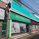 안중이브자리
