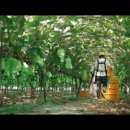 영상농장 이미지