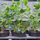 도천농장 이미지