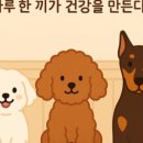 (주)나우픽 이미지