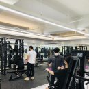 일생의 피티 이미지