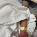 빈방의 빛 | 출산후기) 분당제일여성병원 제왕절개 3일차