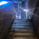 드림 | [부산대 맛집] 파스타 맛집 🍝 크림 천재, 마라 천재 비비드드림 후기