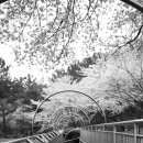 진양호식육식당 이미지