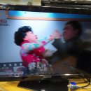 토탈정보통신 Daum카페