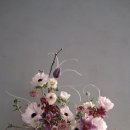 달루즈