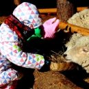 대명목장 이미지