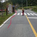 남도삼백리길(7코스) 이미지