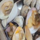 조개까는삼촌 이미지