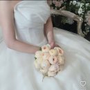 W) 세인트( 모니카블랑쉬 ) 드레스샵 투어 , 당일 계약 혜택 공유