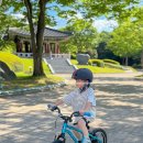 네발로 코리아 | 유아 네발자전거 마이크로바이크 16인치 2.0 헬멧 5살 추천