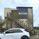 스테이 도토리 이미지