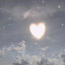 테크만피싱 이미지