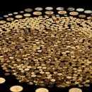 금화농장 이미지