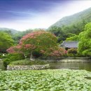 진도 운림산방 이미지