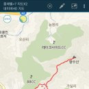 올모스트 올웨이즈
