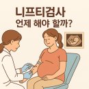 세종병원 | 니프티검사 시기 비용 세종 충남대병원 결과 후기