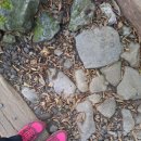 글씨교정 필사의 행복 이미지