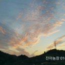 진아농장 이미지