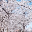 가리내로 이미지