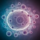 걷기지도사(주간) | 용담동 헬스장 유산소 운동, 왜 중요한가? 효과와 올바른 방법 총정리