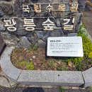 GS25 진접부평리점 | 조선왕릉 숲길 광릉숲길 트래킹 하고 왔어요