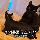 나만의 고양이 굿즈 만들기, 예우프린트의 고양이사진쿠션 후기