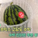 청명축산 | 🍉 N쇼핑 온브릭스 고당도 수박 내돈내산 | 수박 잘 고르는 꿀팁! | 수박화채 만들려고 샀는데 그냥 먹고...