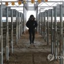 우시장 이미지