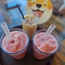 (주)힐링파마 이미지