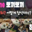 T-ZONE 뽀끼뽀끼 이미지