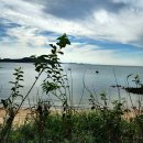 포인트골프방 | 웨이하이 포인트 골프 리조트 후기(Weihai Point)