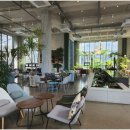 바보온달 이미지