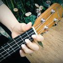 (초보자를 위한) 우쿨렐레 | 우쿨렐레강사로 일자리 구하는 방법