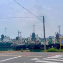 장생포초등학교병설유치원 이미지