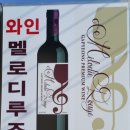 유영자농장 티스토리