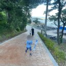 주전어촌계화장실 | 울산 동구 - 보밑항 피크닉장 이용 후기 - 예약중단 후