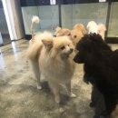 청주지웰동물병원 이미지