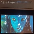 아이비스튜디오 - 북구 매곡로69번길 42 | 아이비스튜디오