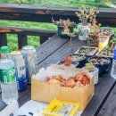 도시고양이생존연구소 | 하동 숙소 추천 도시고양이생존연구소 섬진강 뷰, 뚜벅이 픽업까지 (2박 후기)