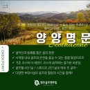 설**-1