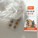 탑개발 | 노견 영양제 강아지 항산화제 꼭 먹어야할까? 옥스탑 1년 급여 후기