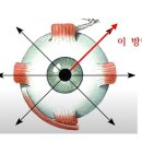 안구움직임 관련 근육 통증 해결 방법 이미지