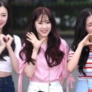 피오피인 이미지