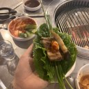 주복신화 불타는 막창 | 구미 상모 맛집 주복신화 불타는 막창 곰장어ㅣ내돈내산 찐 맛집 주당들의 성지